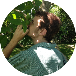 Sam Creely in a green shirt smelling limes hanging from a tree
